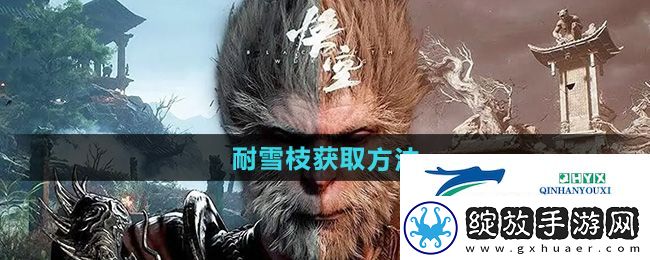 黑神话悟空耐雪枝怎么获取