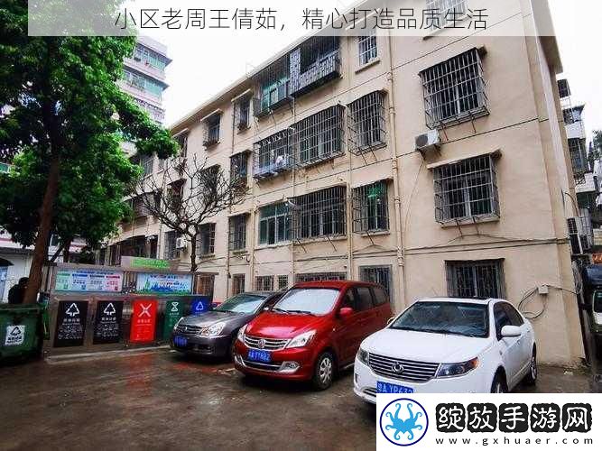小区老周王倩茹