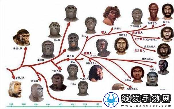 探索人马畜禽人