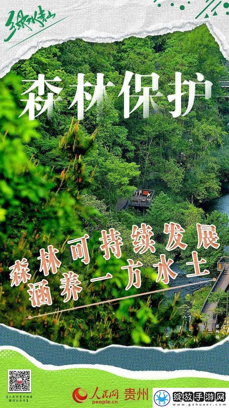 中国老年森林交易市场
