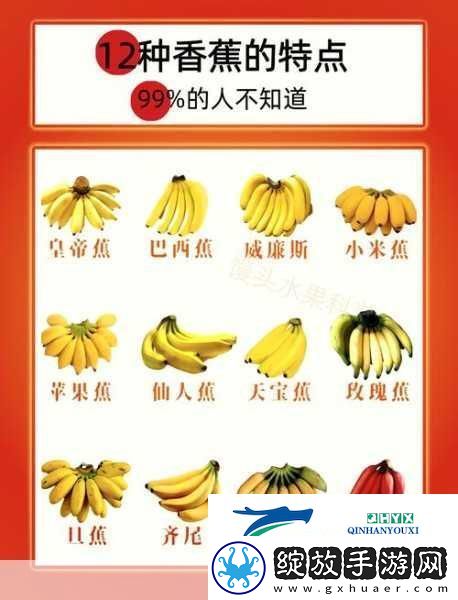 国产香蕉和进口香蕉的价格比较