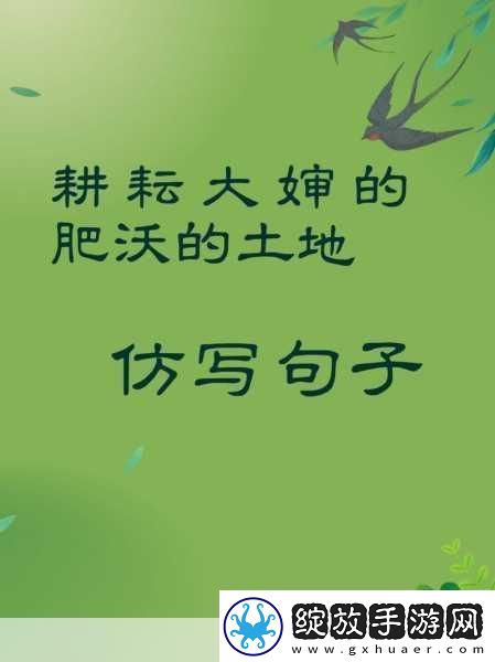耕耘大婶的肥沃的土地