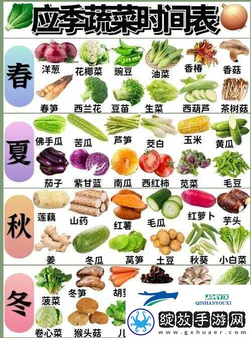 燃烧的蔬菜3星满级花椰菜攻击力分析