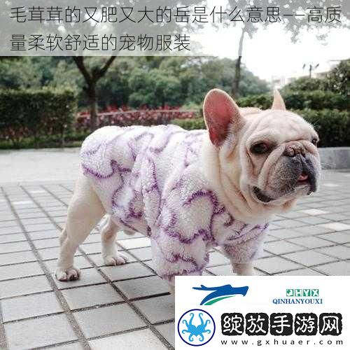 毛茸茸的又肥又大的岳是什么意思——高质量柔软舒适的宠物服装