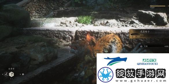 黑神话悟空虎筋绦子怎么获得