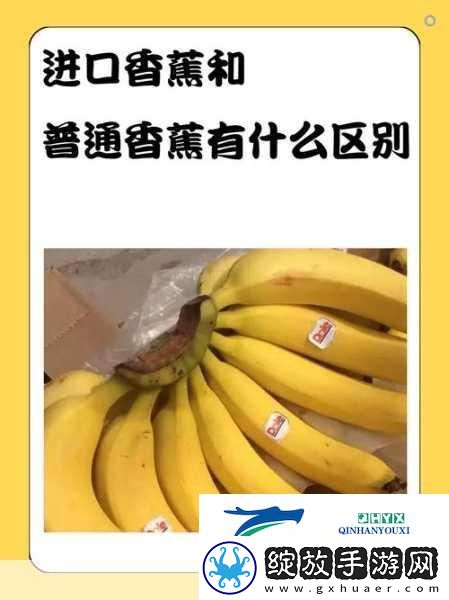 国产香蕉和进口香蕉的价格比较