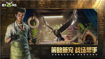 中土纪元神戒系统全面解析与玩法技巧！