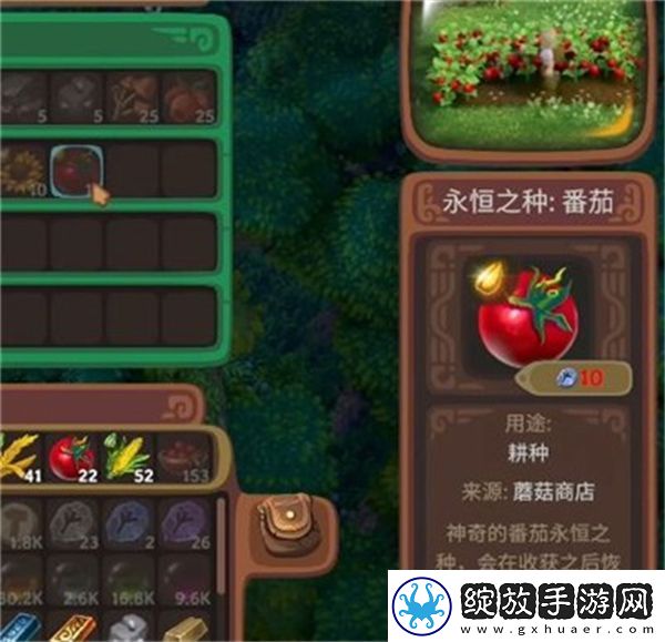 露玛岛优先种植的10种农作物有哪些