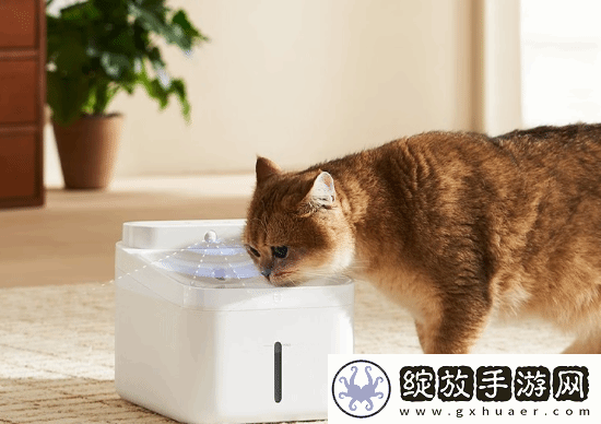 小米智能宠物饮水机上架