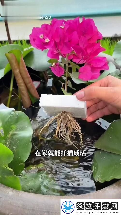 新探讨坐着扦插BB有什么好处的多重优势
