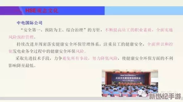国内****产业的转型与升级