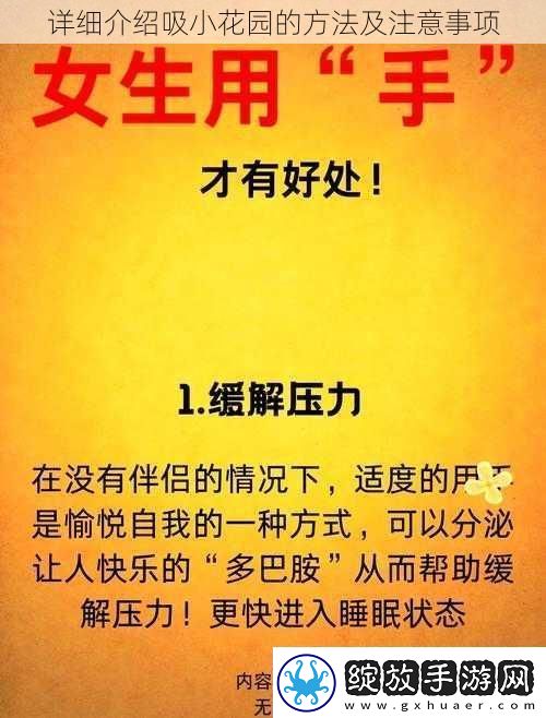 详细介绍吸小花园的方法及注意事项