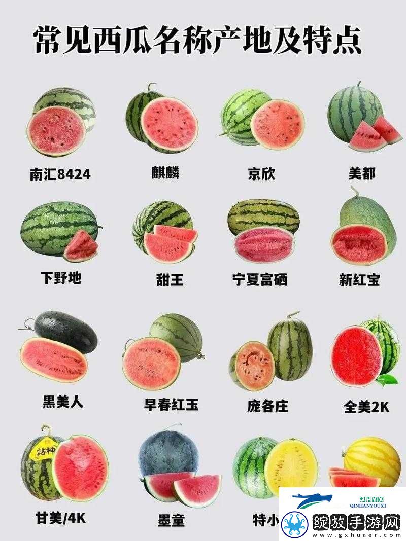 今日吃瓜