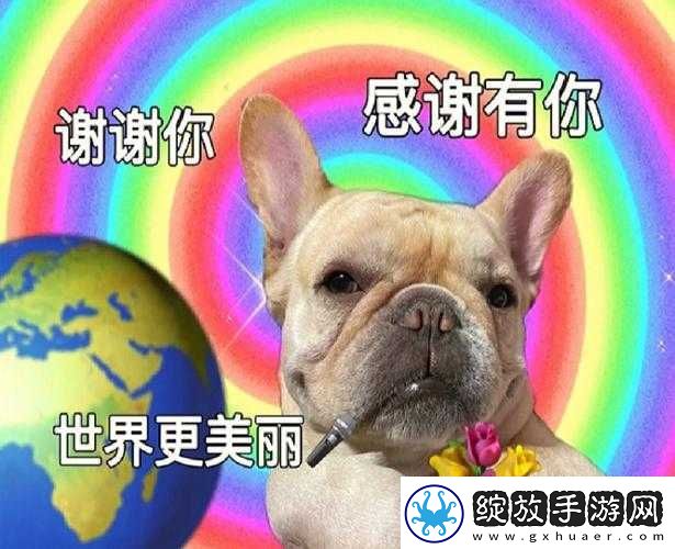 解析谢谢你因为有你温暖了四季络热梗