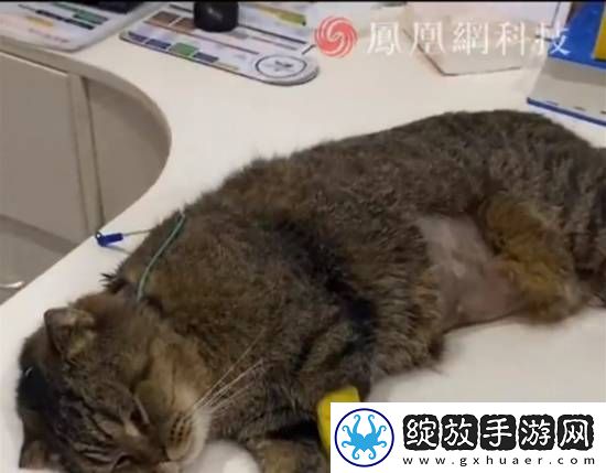 你怎么看