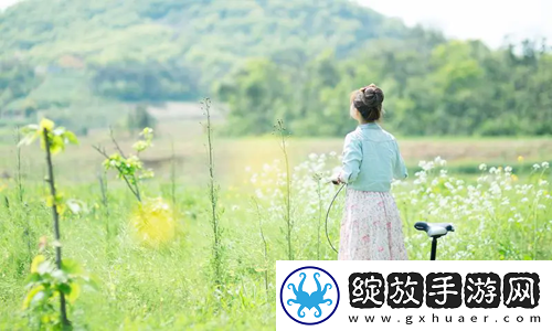 国内永久免费saas