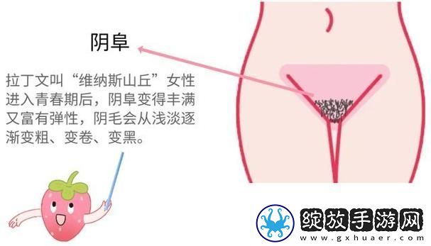 大荫蒂bbbbbb大荫蒂
