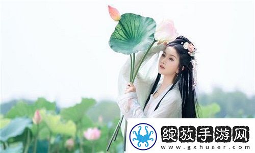 以韩国理论大全为基础