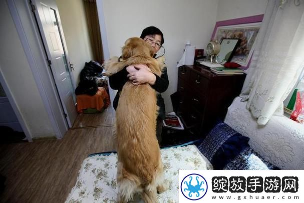 探讨“女人跟金毛发生产关系怎么办”的多重视角柯林资讯