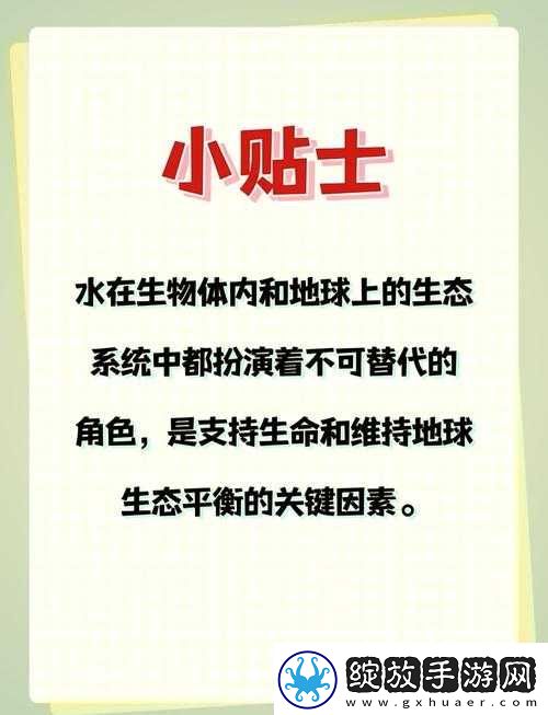深入探索太荒初境
