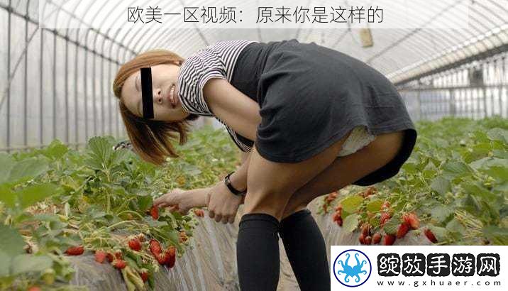 欧美一区视频