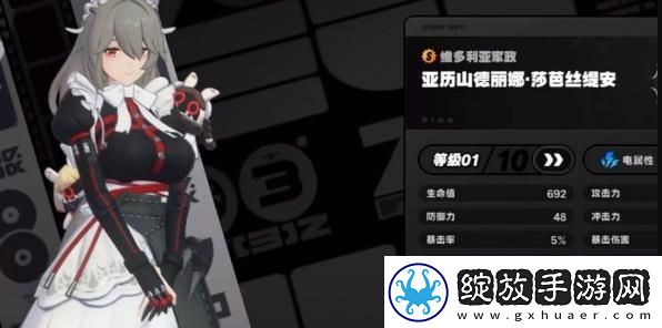 绝区零柳怎么配队