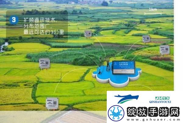 优质JY灌溉系统苏软软