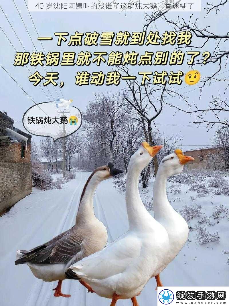 40岁沈阳阿姨叫的没谁了这锅炖大鹅香迷糊了