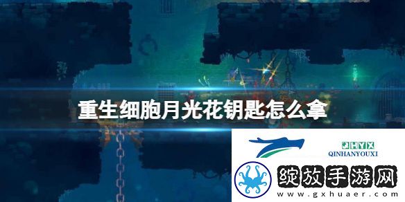 重生细胞月光花钥匙获得方法介绍