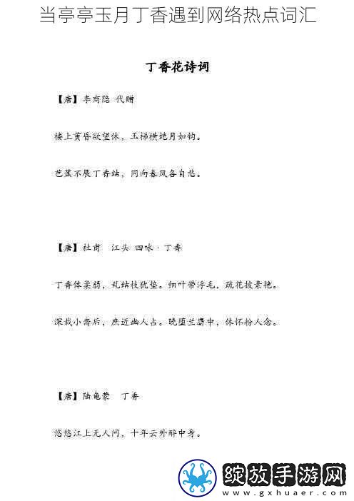 当亭亭玉月丁香遇到络热点词汇