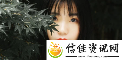 待会见安卓版下载