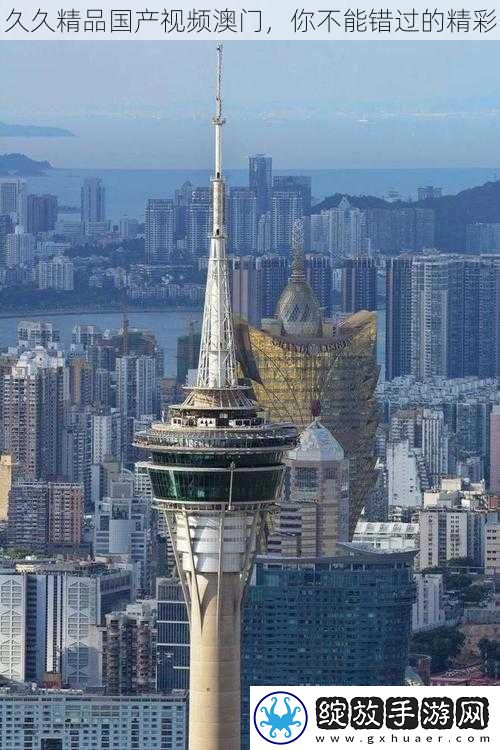 久久精品国产视频澳门