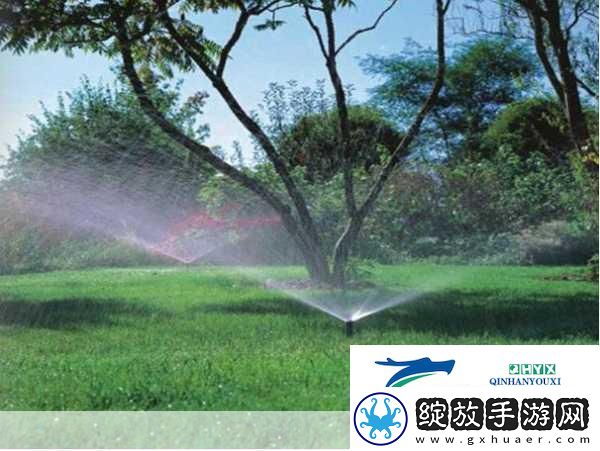 优质JY灌溉系统苏软软