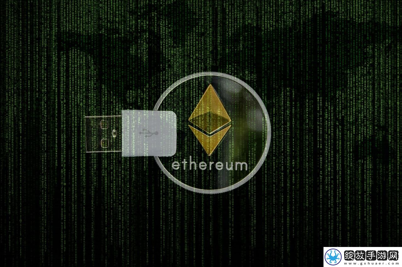 畅游虚拟世界