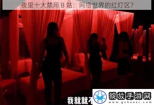 夜里十大禁用B站