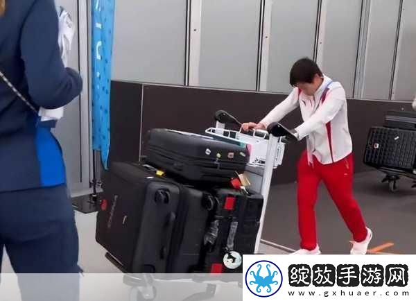 我才是巧手搬运工