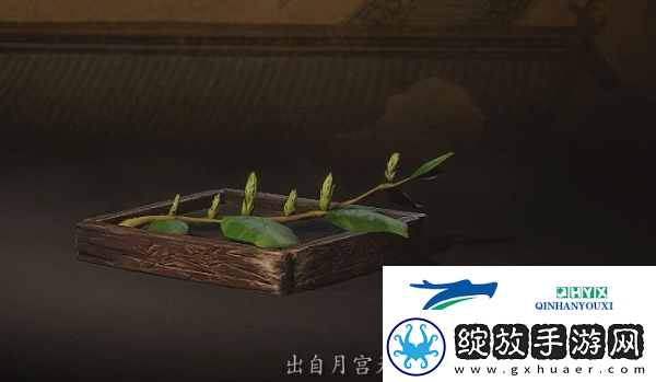 黑神话悟空梭罗琼芽怎么获得