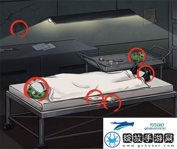 看你怎么秀蛙蛙尸间通关攻略