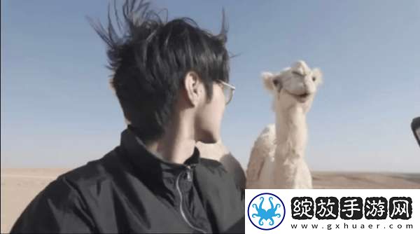 黄超发文告别2024