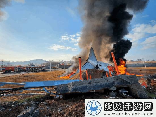 专家称韩国空难机场设计近乎犯罪！179人本不会死