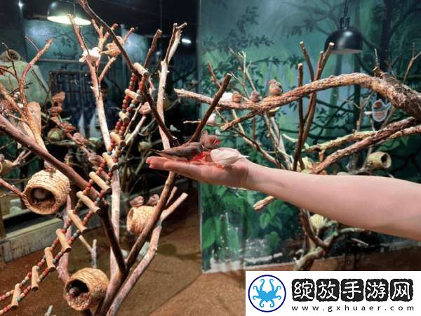 黄超发文告别2024