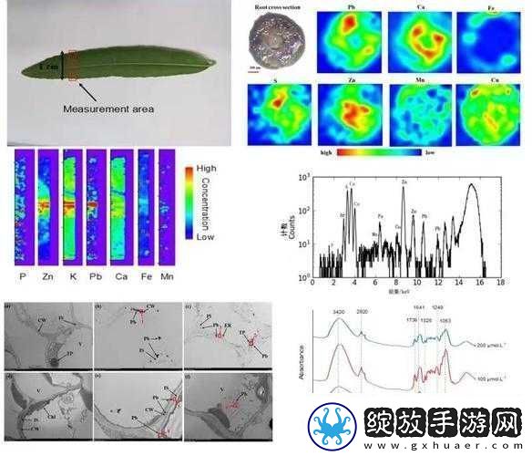 榨汁精灵的繁衍条件有哪些新发现科研成果展示及深度剖析