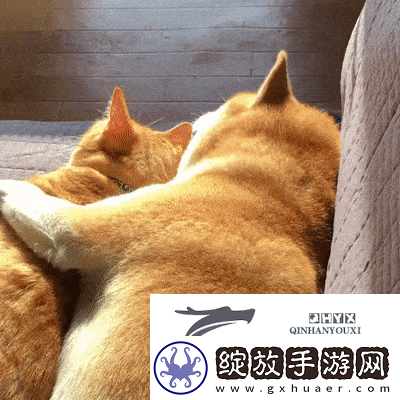 嗯嗯啊啊动态图