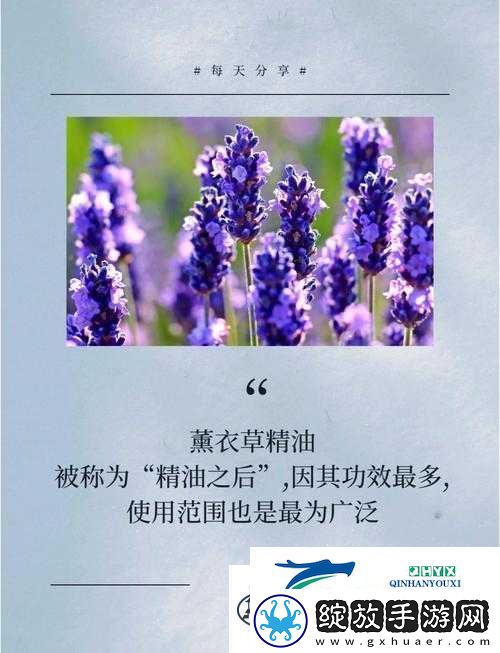 年轻漂亮少妇私密精油按摩保养方法