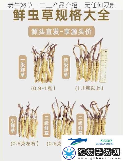 老牛嫩草一二三产品介绍无任何限制