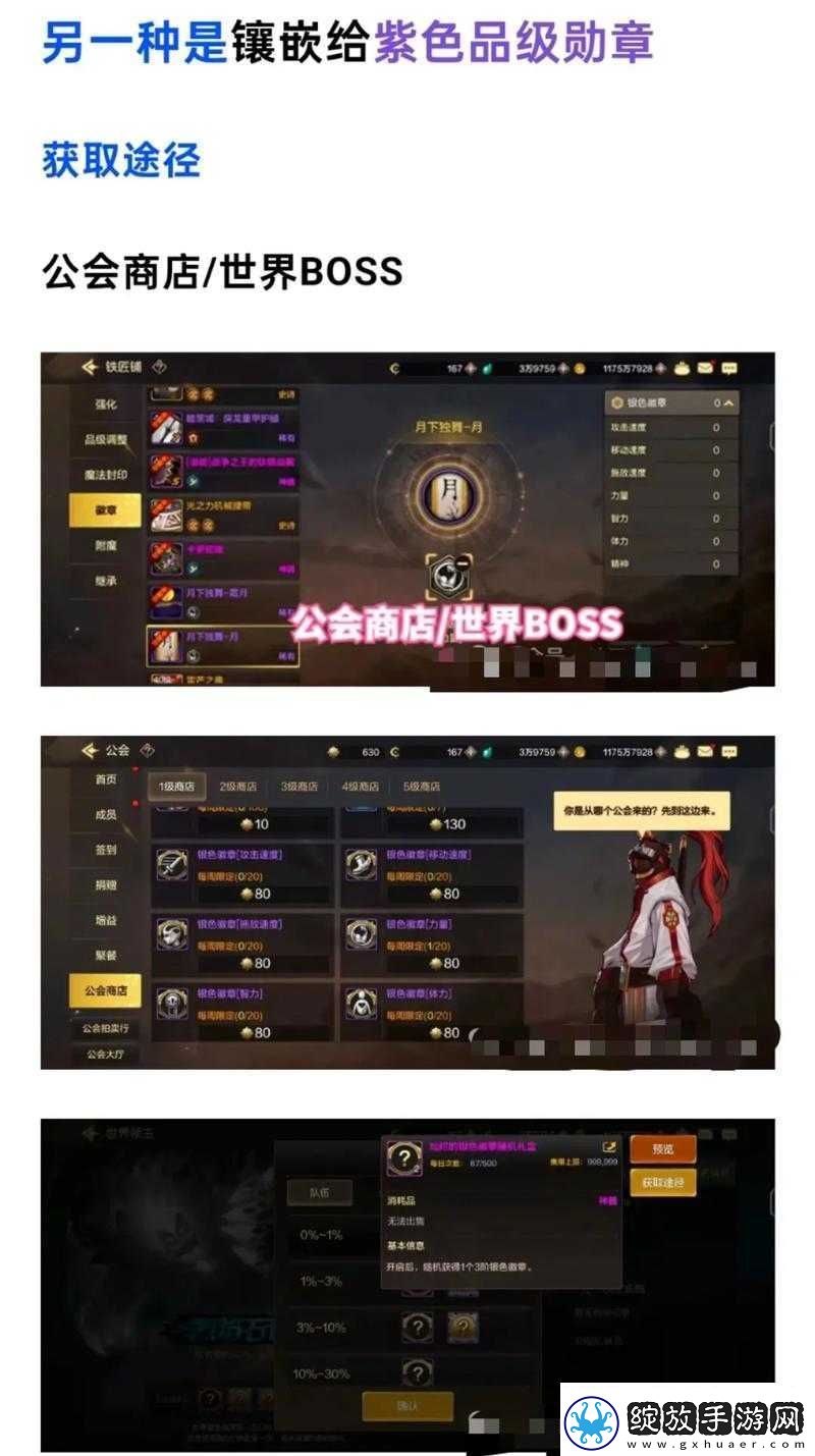 关于DNF手游徽章获取攻略的全面解析与实用指南