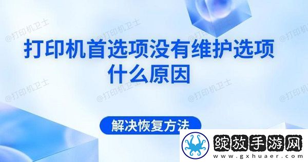 打印机首选项没有维护选项什么原因