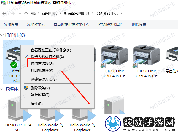 打印机首选项没有维护选项什么原因