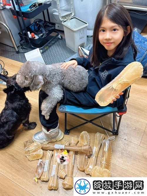 狗胶配方大全高清视频