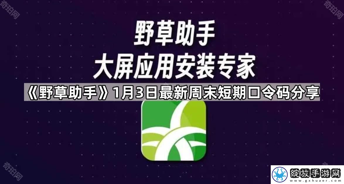 野草助手1.3最新视频口令是什么